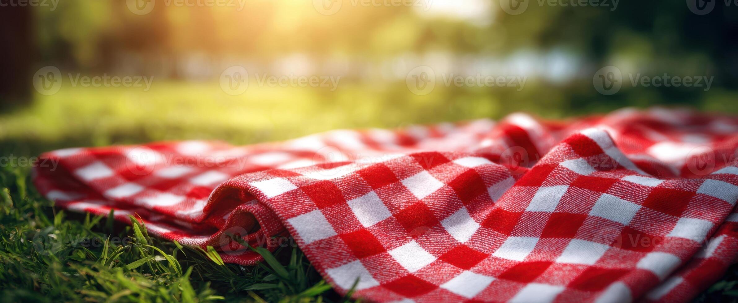 The inviting picnic blanket resting on soft grass in the warm sunlight. photo