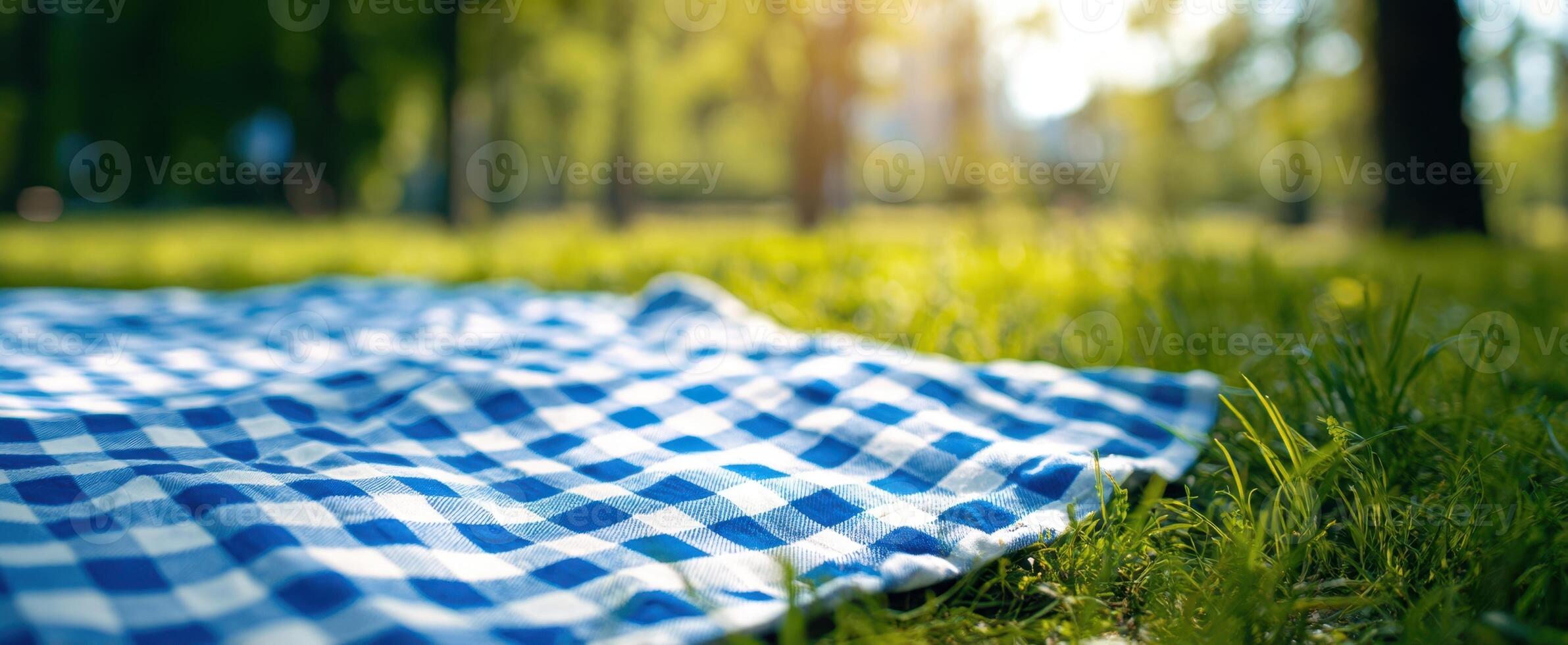 The picnic blanket resting on the lush green grass in a sunlit park. photo