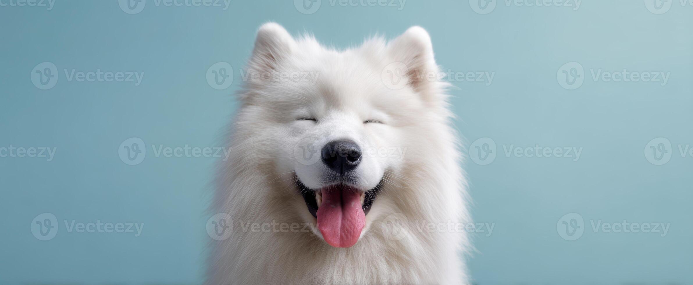 The joyful expression of a happy samoyed dog against a pastel background. photo