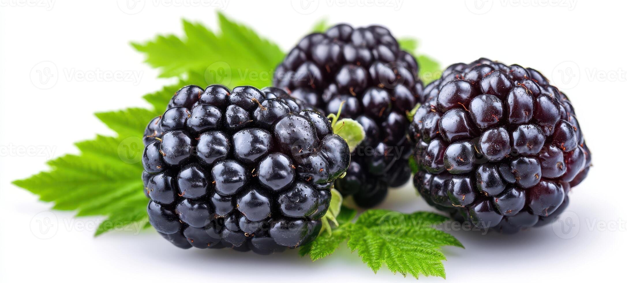 The fresh blackberries with vibrant green leaves on a white background. photo