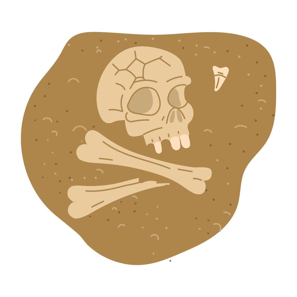 human skull with bones, teeth in the sand. An archaeological find. Historical value. for design of books, articles, posters and presentations on the topics of archeology, history of past, excavations vector