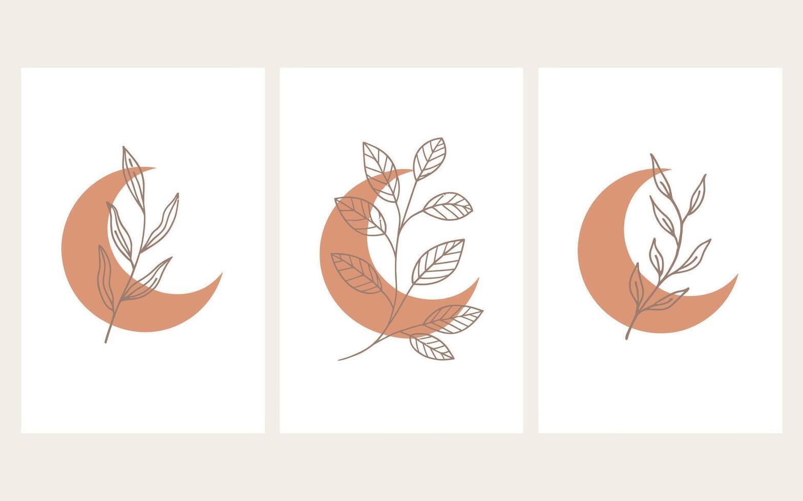 Elegant botanical line art on moons in earthy tones and vector