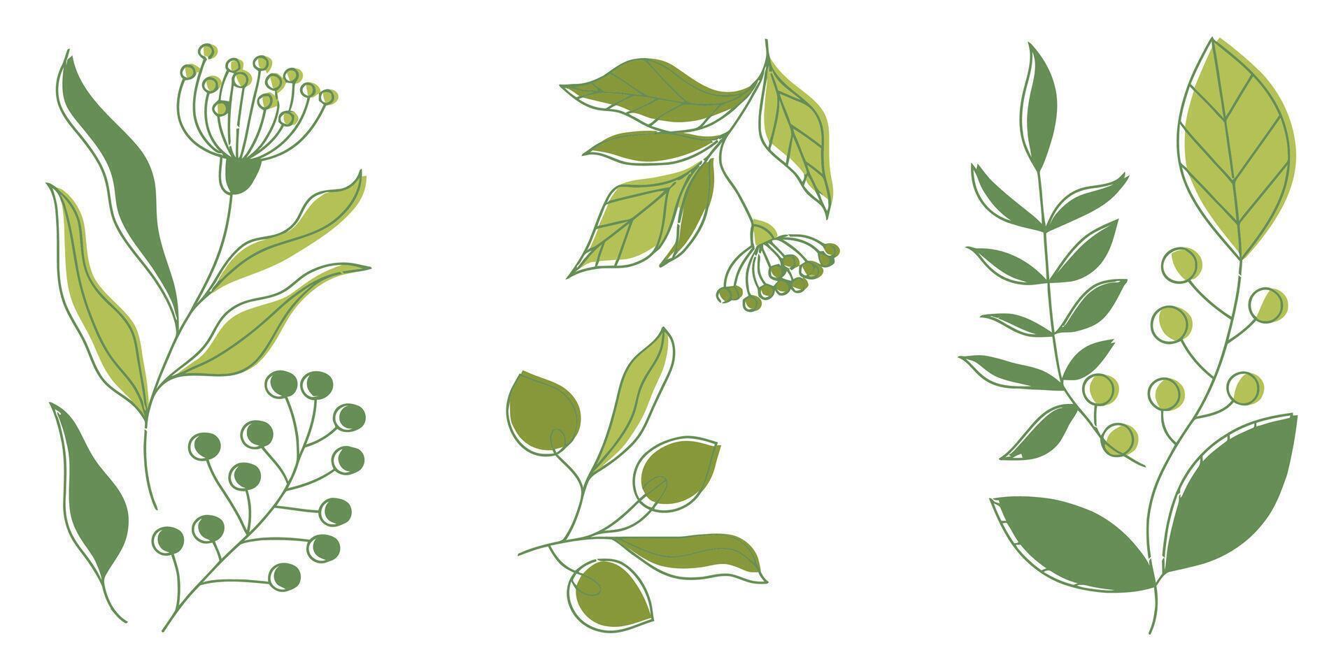 Botanical bliss in three prints with soft minimalist drawing vector