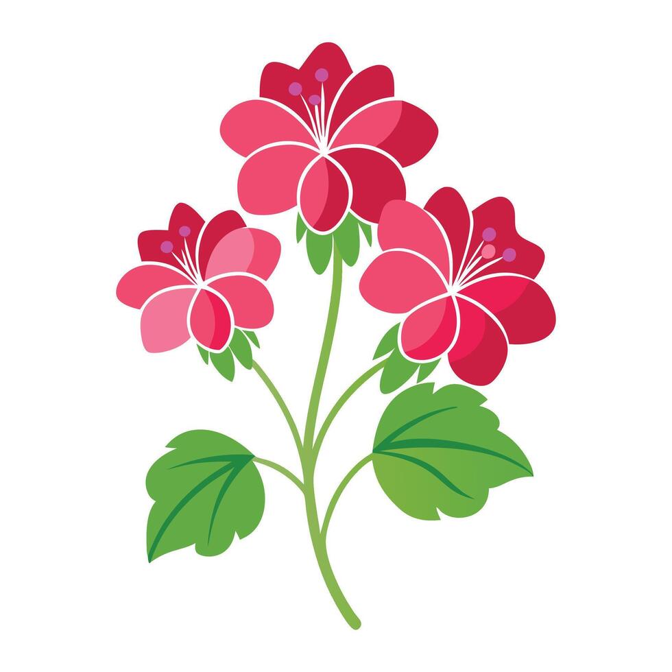 a flower with pink petals on a white background vector
