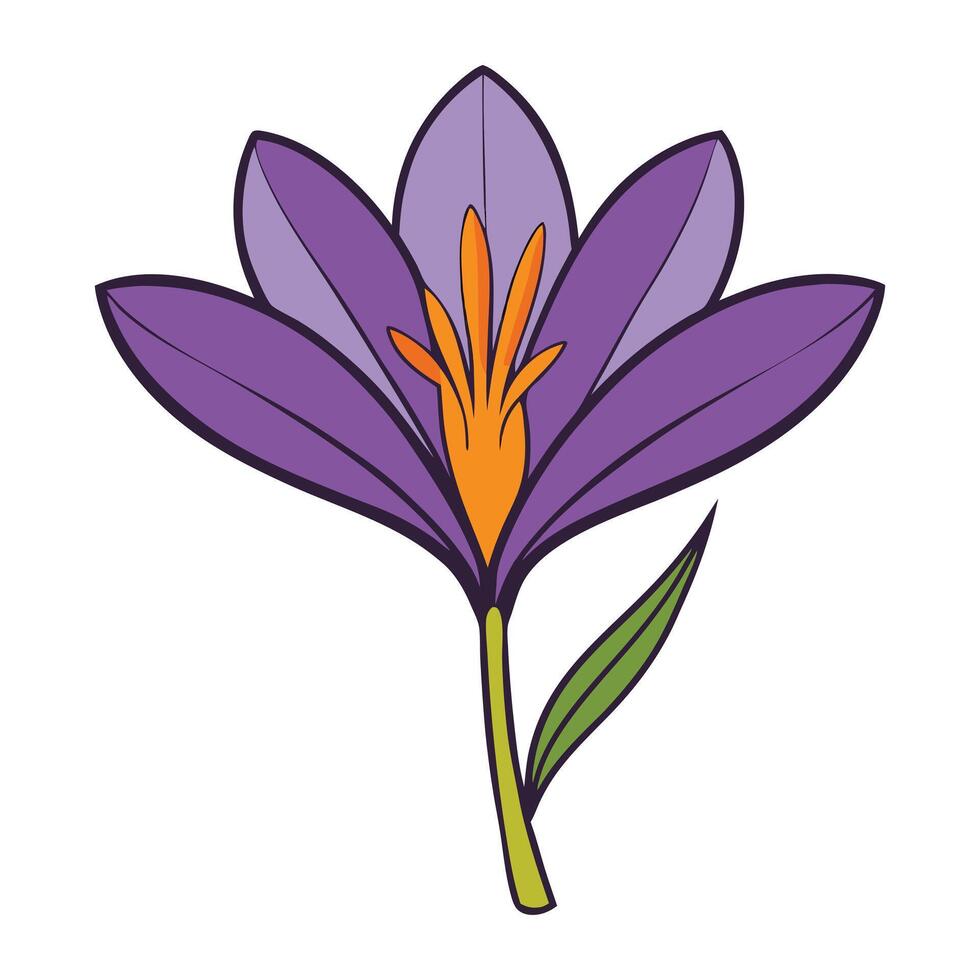 a purple flower with orange petals on a white background vector