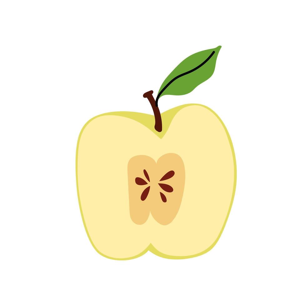 Simple half full green apple on white background. Hand drawn icon fruit with green lives. Farm and agriculture, organic food. Flat illustration for packaging, branding, menu, recipe. vector