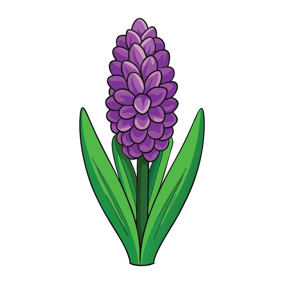 a purple flower with green leaves on a white background vector