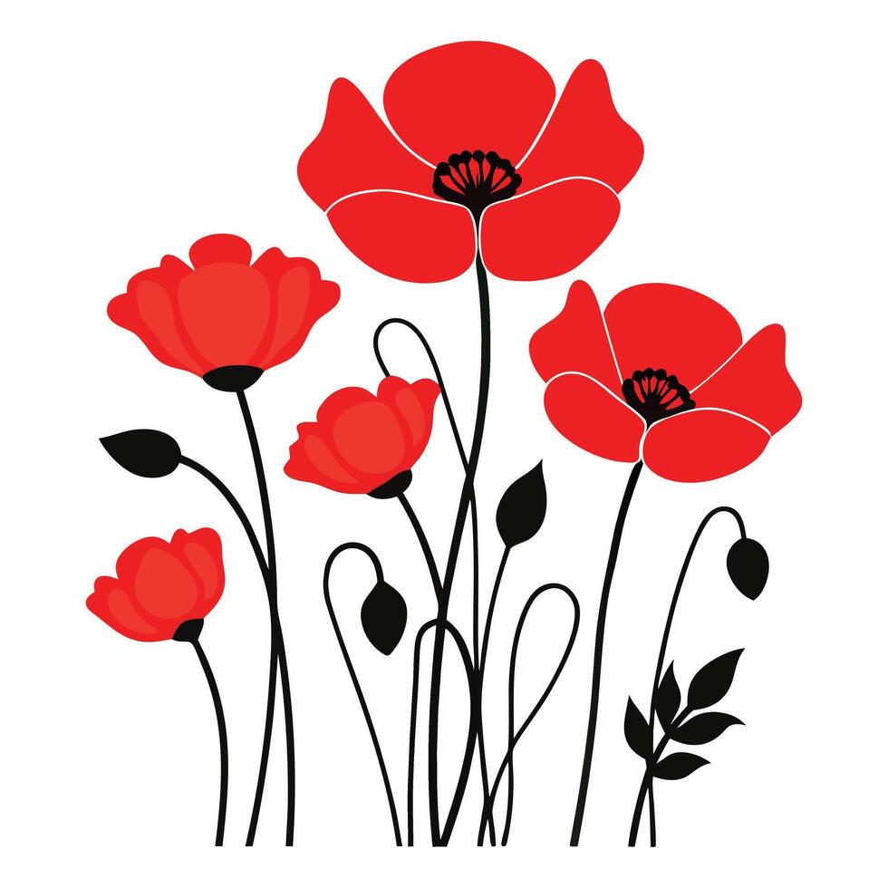poppy flowers illustration vector