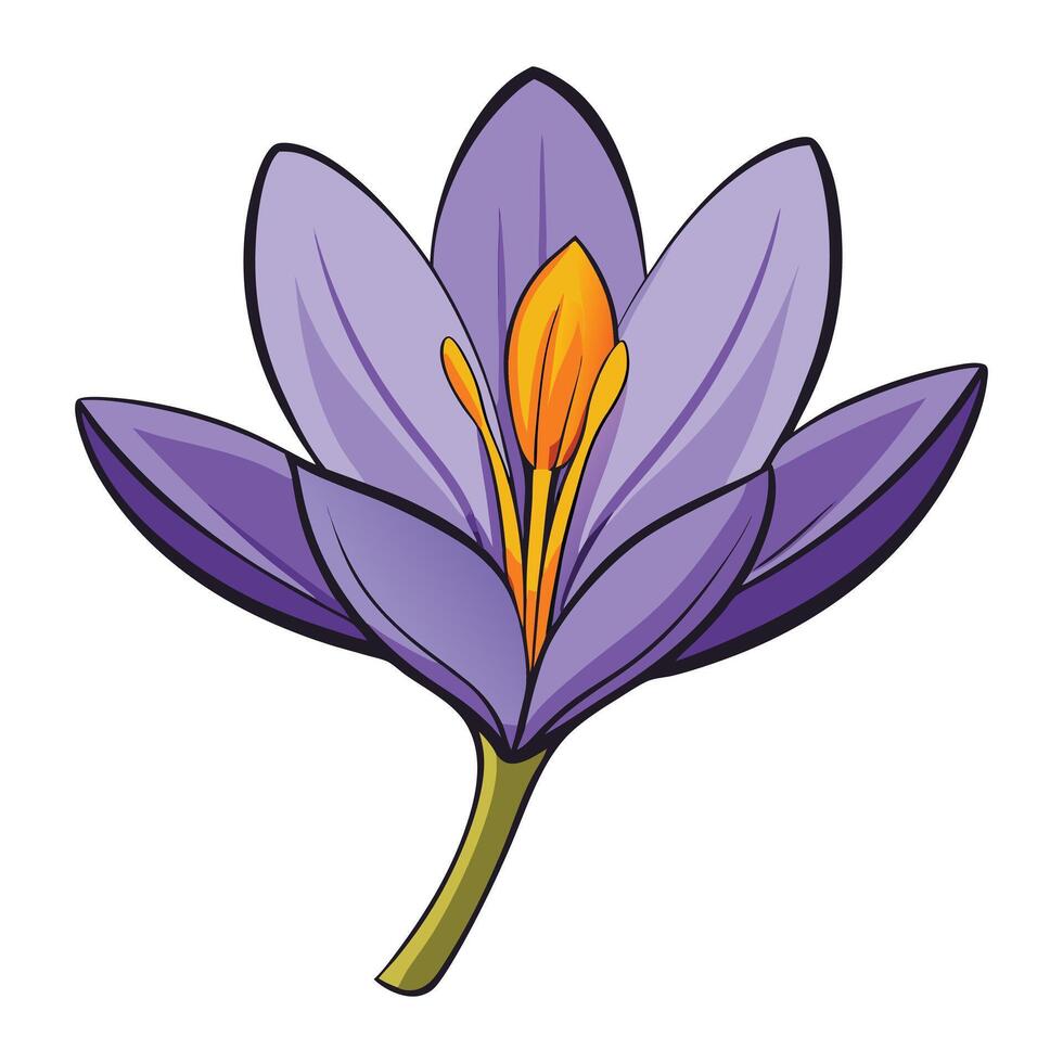 a purple flower with yellow center on a white background vector