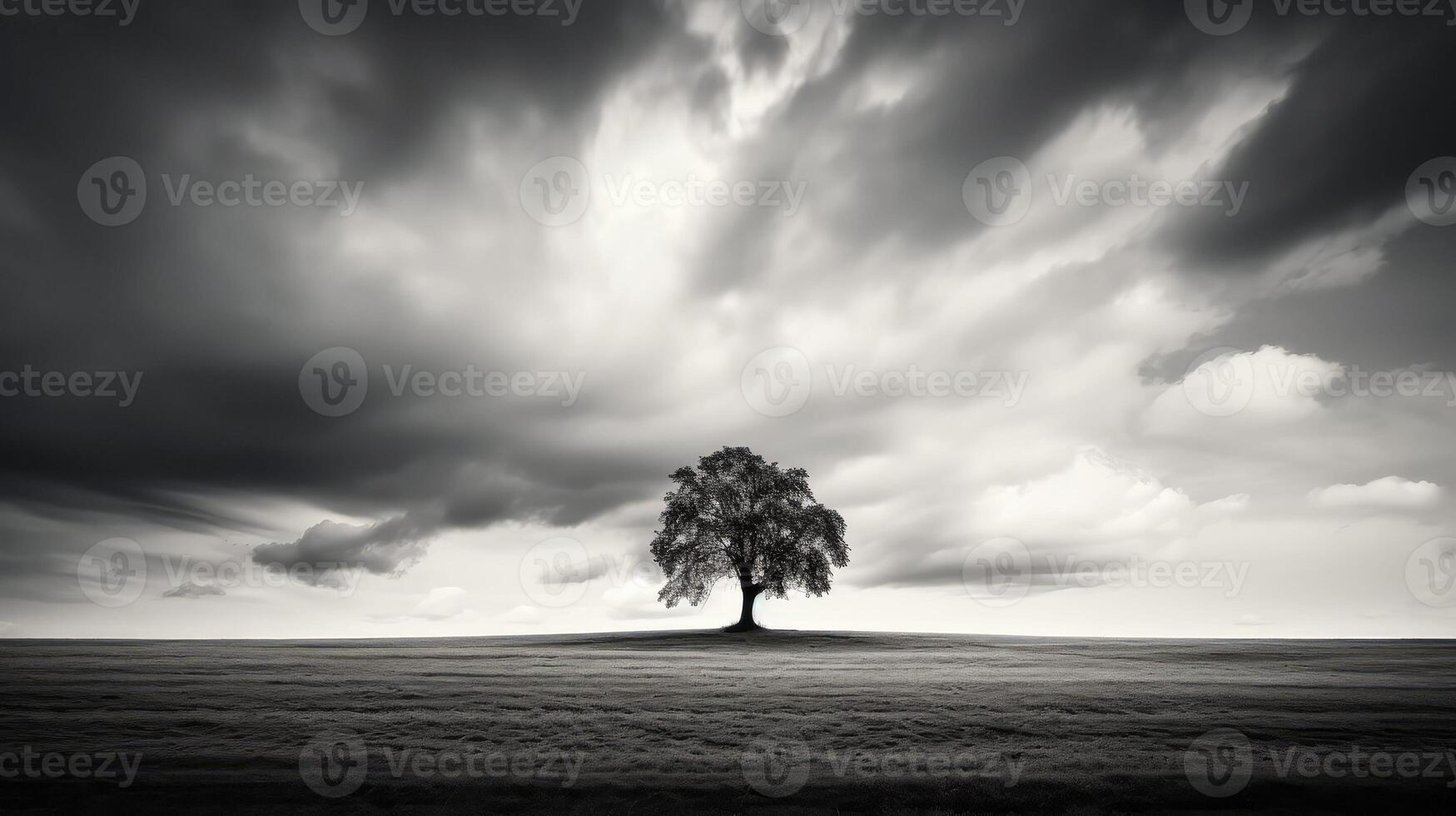 contrast black and white bold title photo