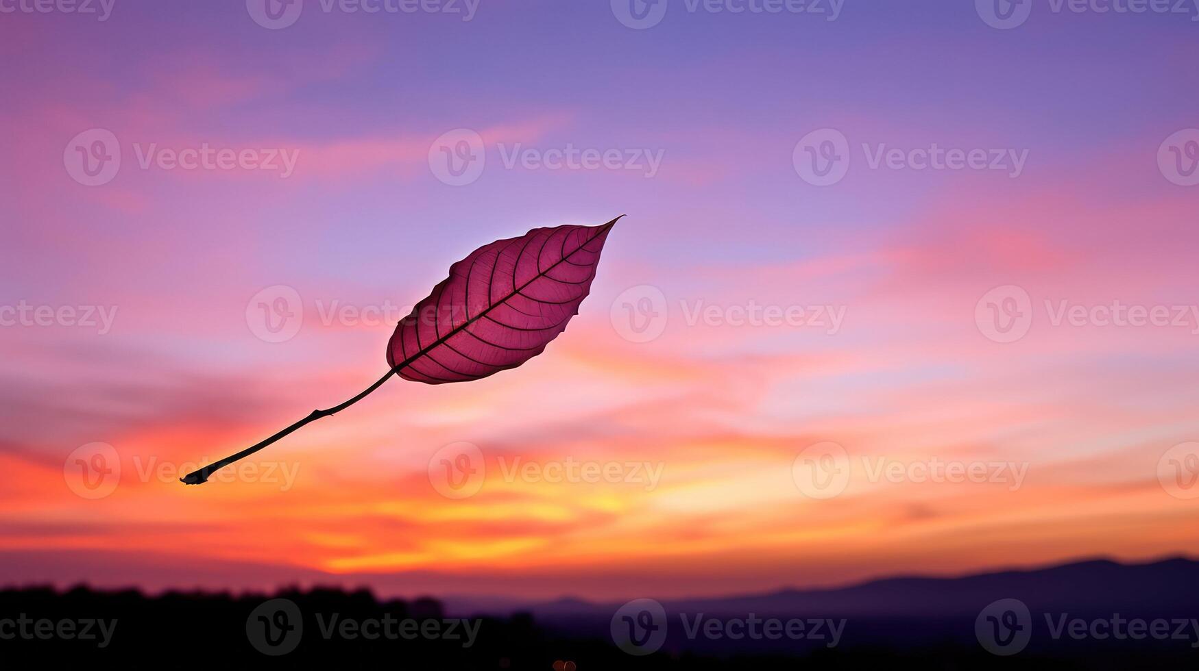 pink simple leaf photo