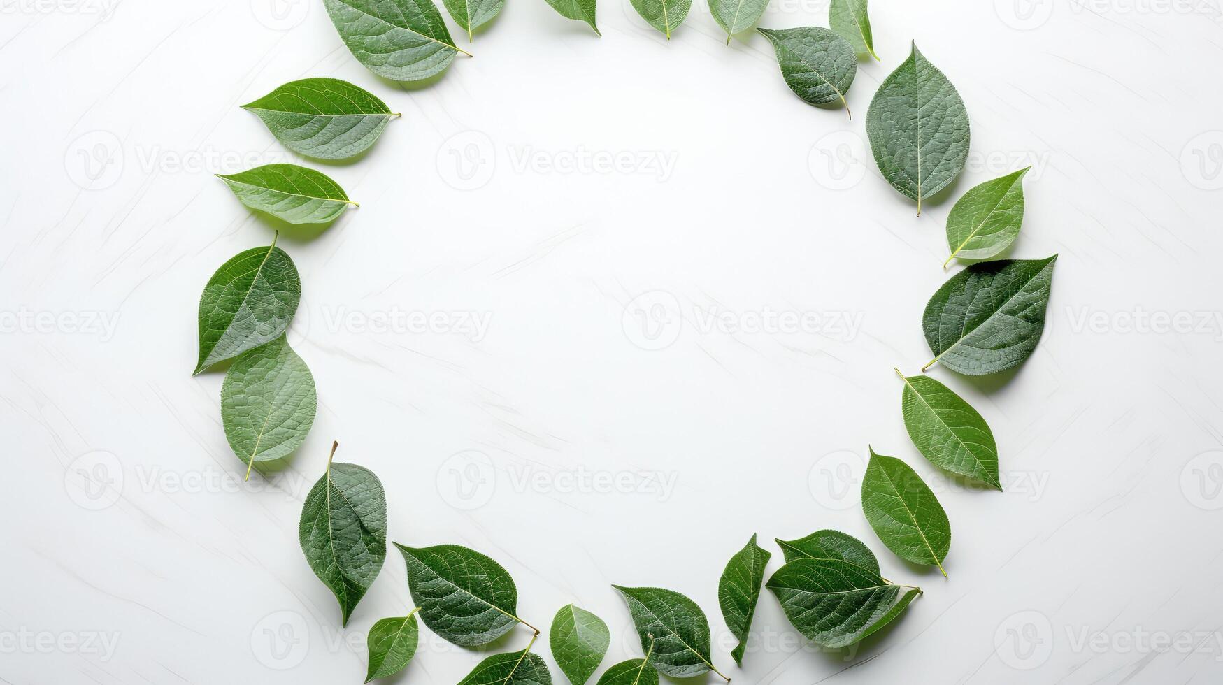 minimalist leaf border circle photo