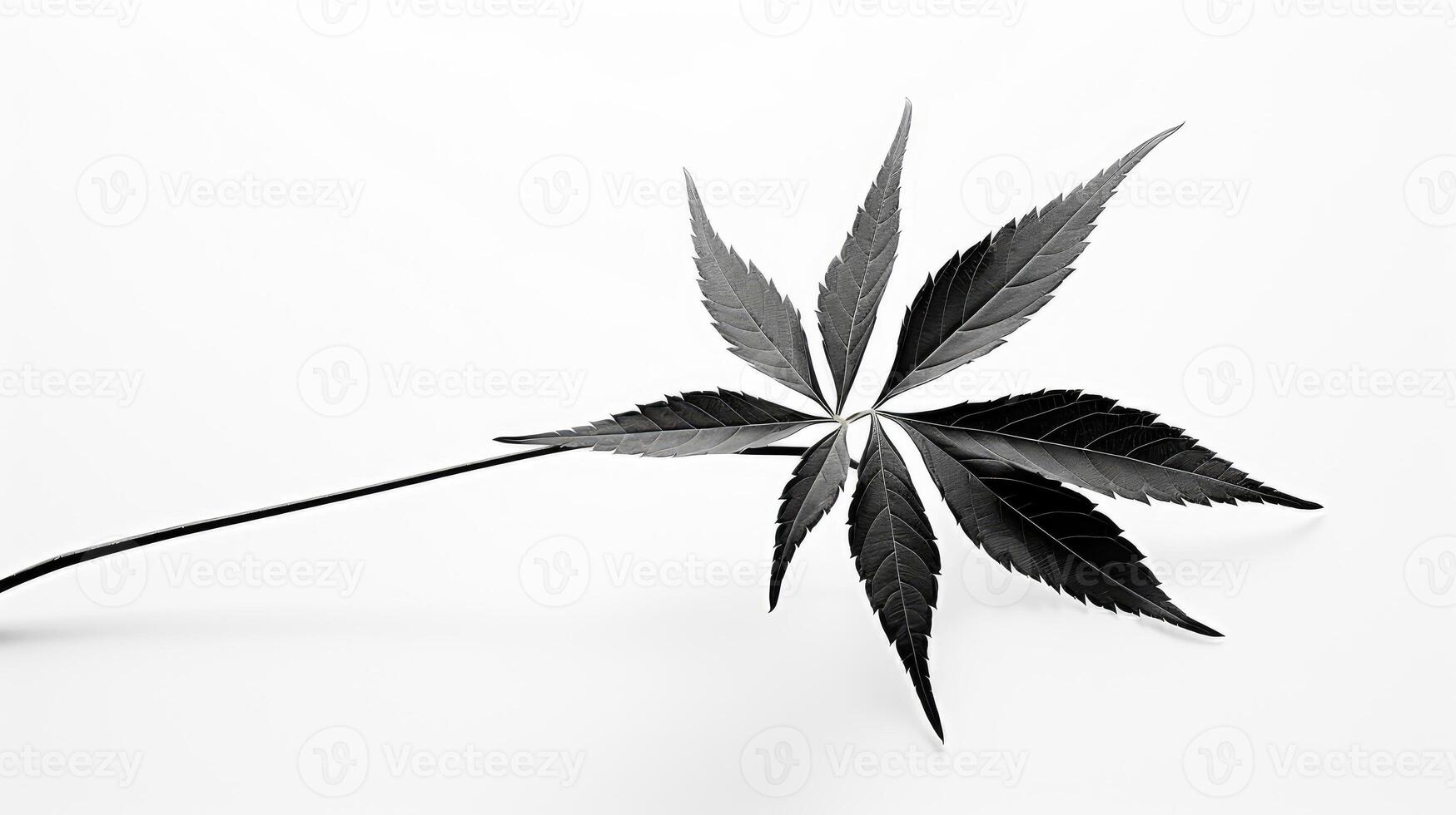 minimalism abstract pot leaf photo