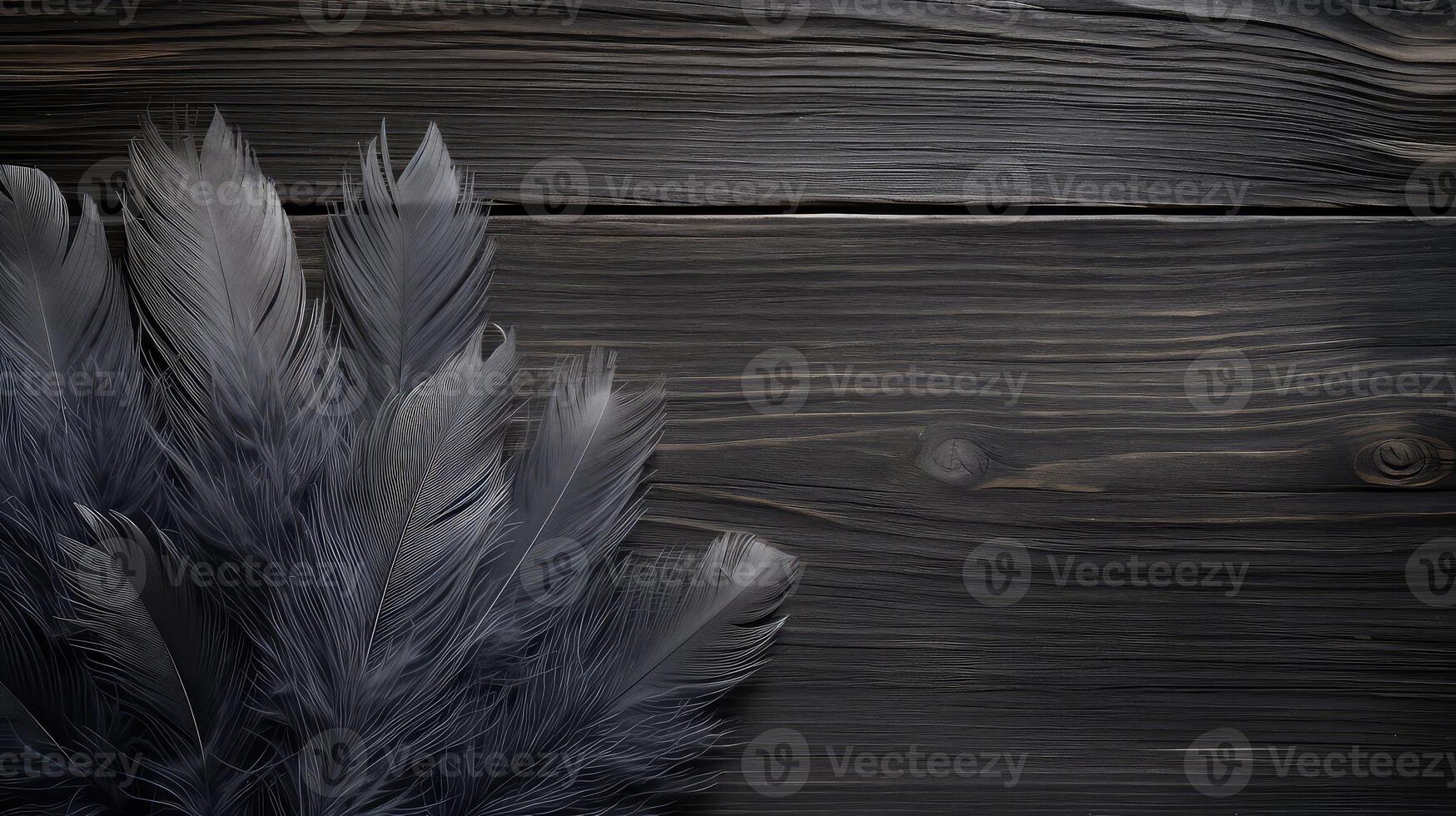 photograph dark grey wood background photo