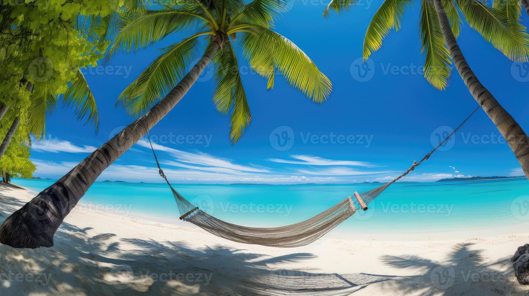 escape beach palm tree photo