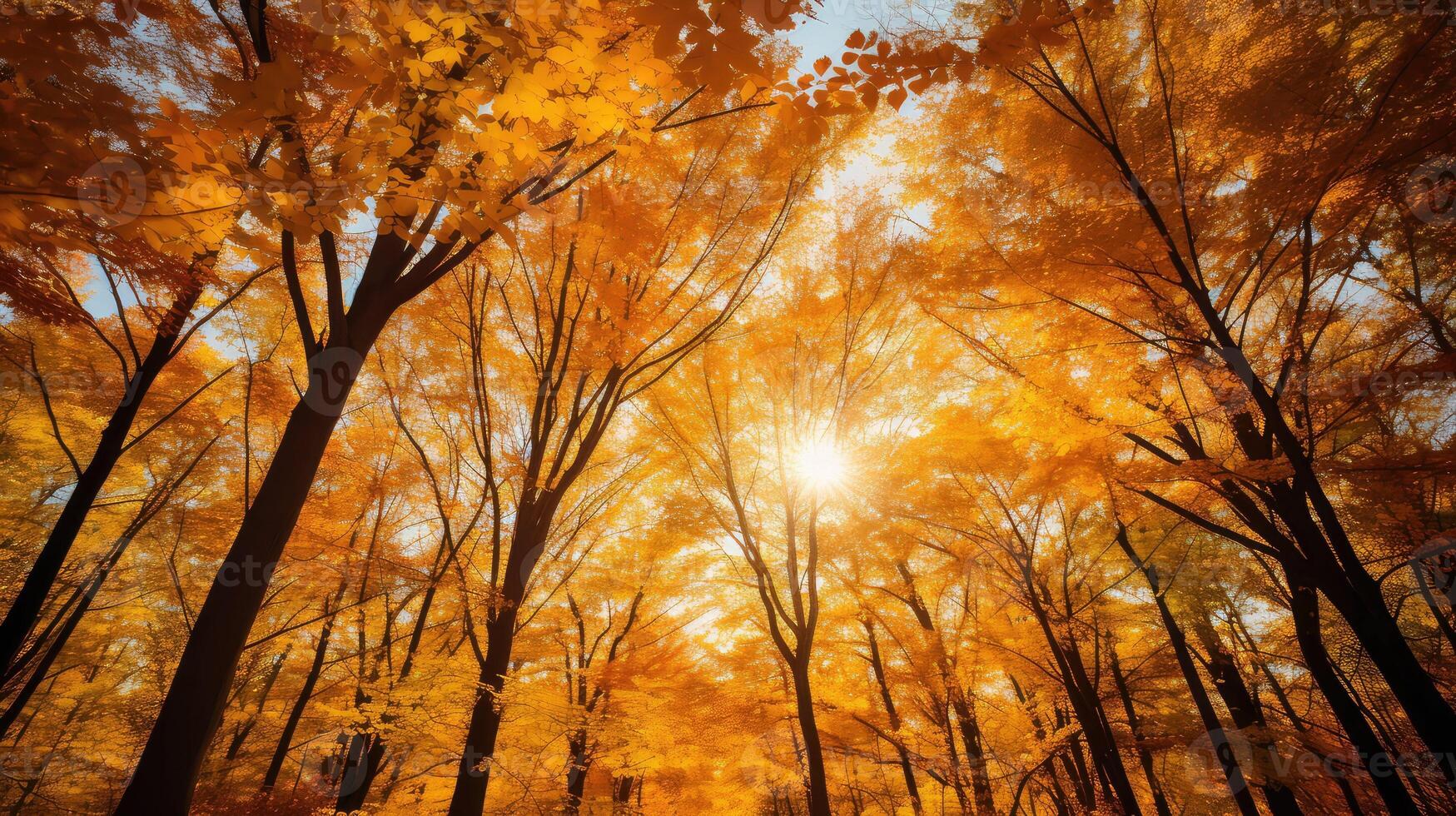 gold leaves hanging photo