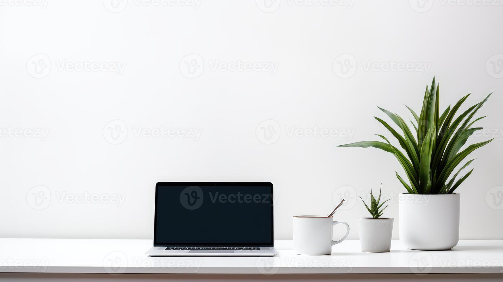 workspace laptop and plants photo
