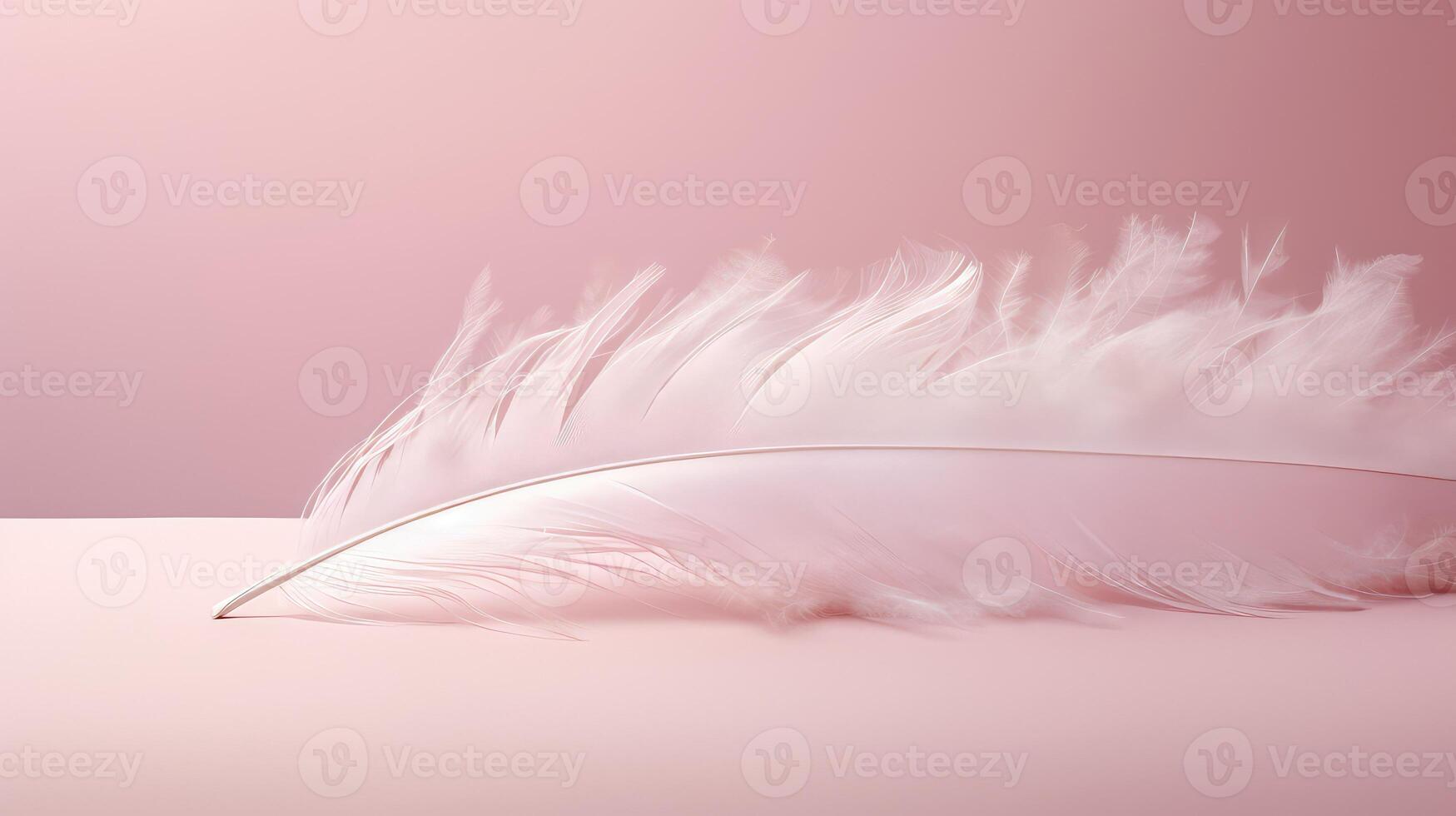 photograph pink background textured photo