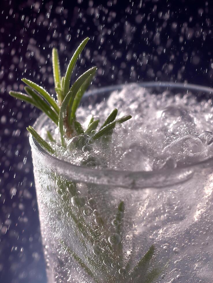 Rosemary Sprig in Sparkling Water Close Up Photography. photo