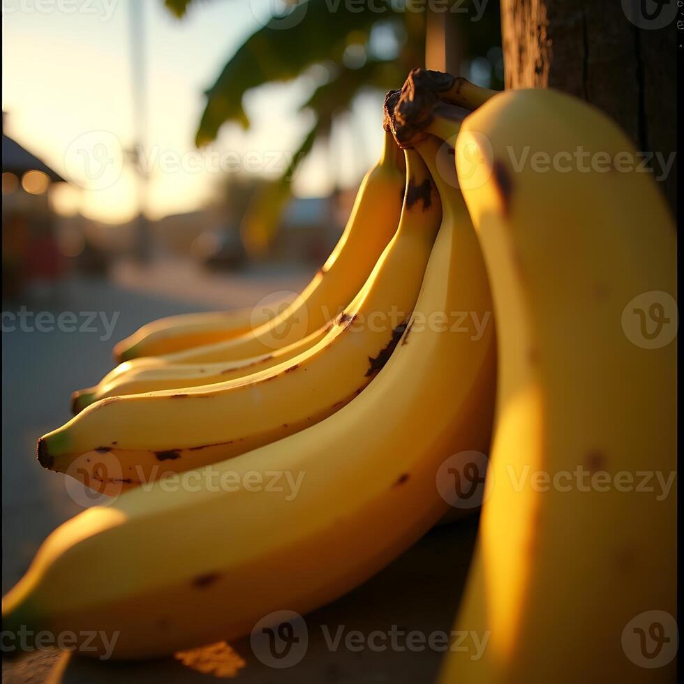 Close-up of Ripe Bananas in Warm Sunlight photo