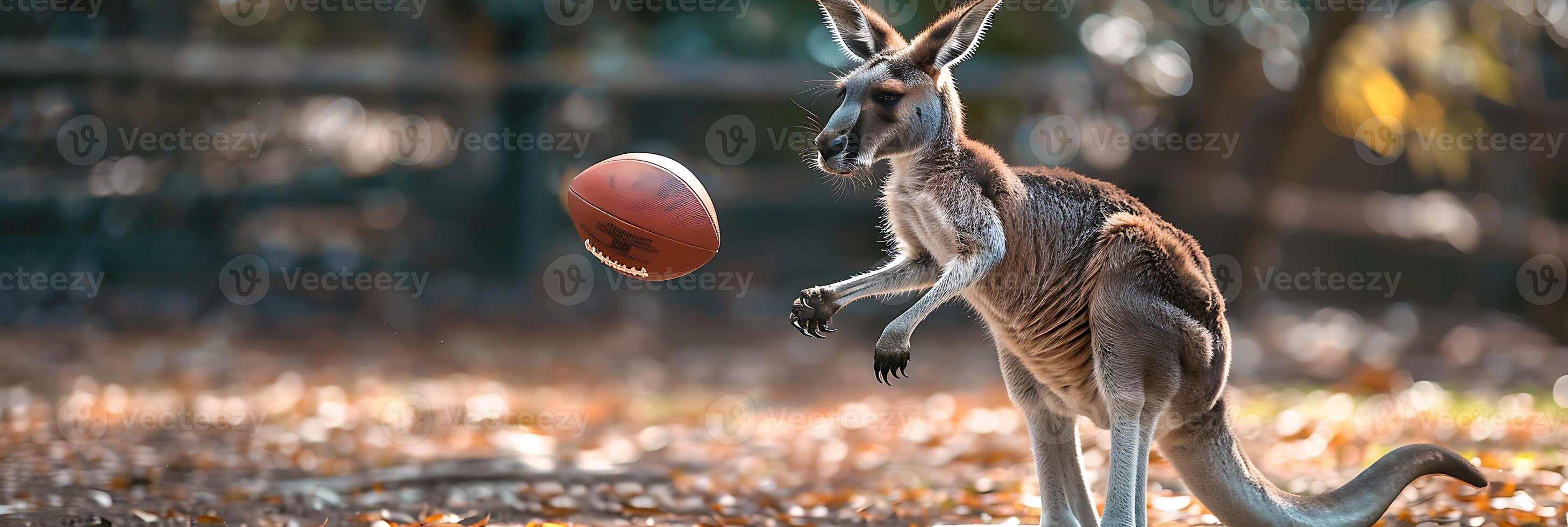 A kangaroo is holding a football in its mouth photo