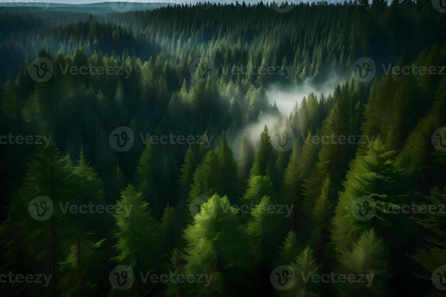 A forest with trees and fog in the distance photo