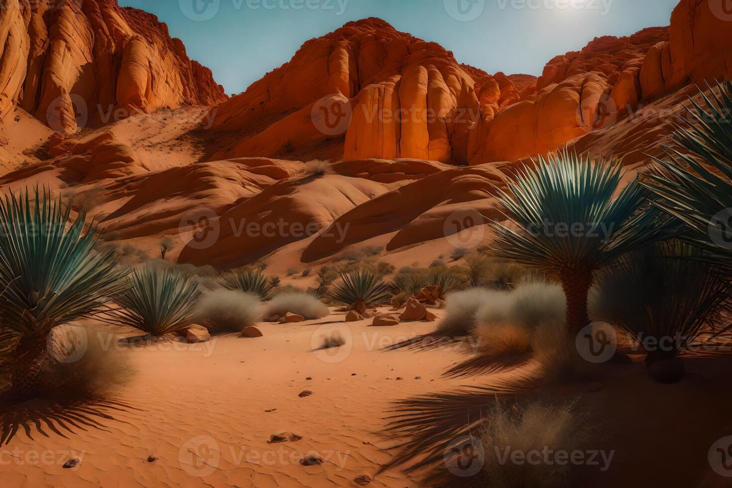A desert scene with plants and rocks photo