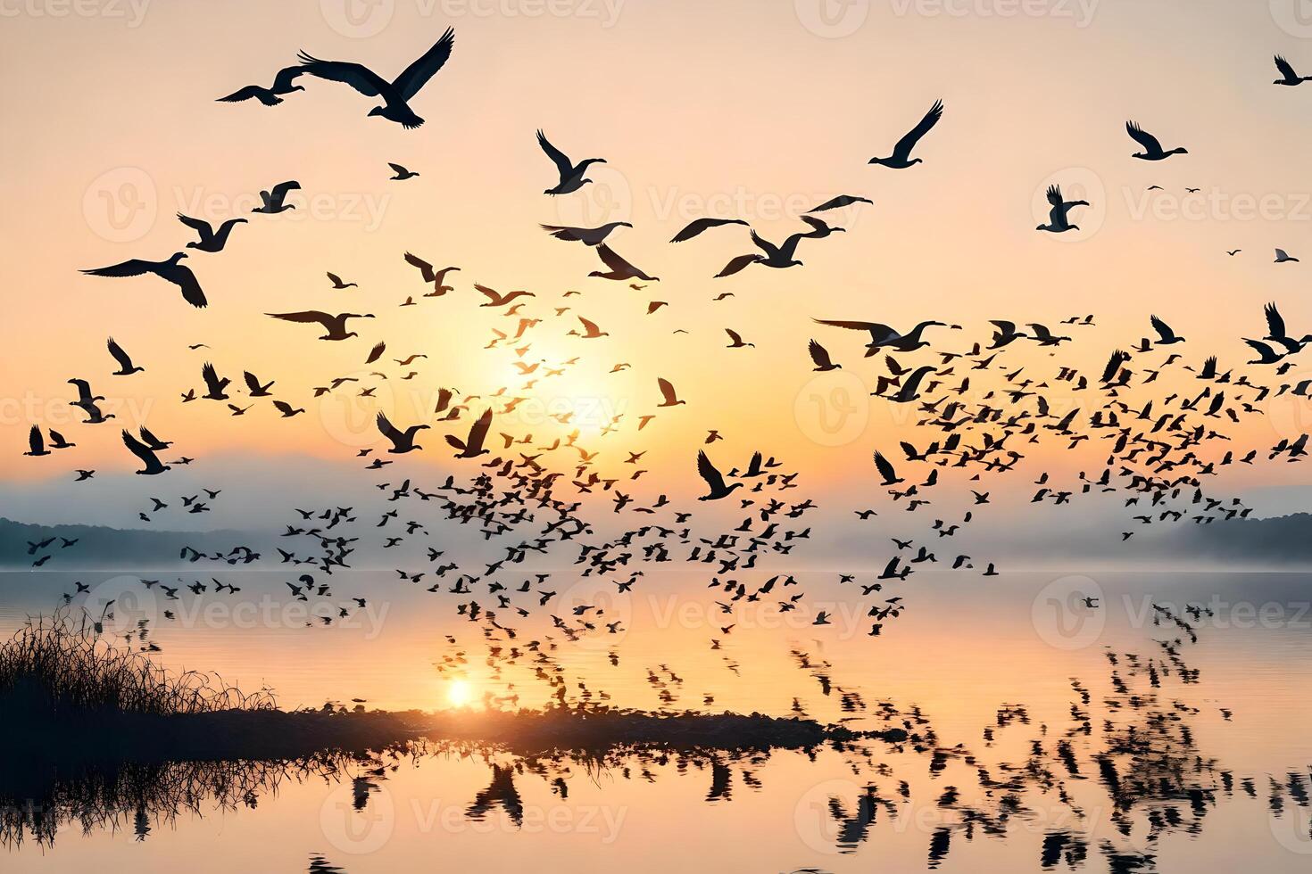 A flock of birds flying over a lake at sunset photo