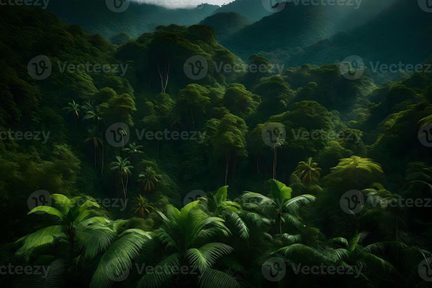 A tropical forest with palm trees and mountains photo