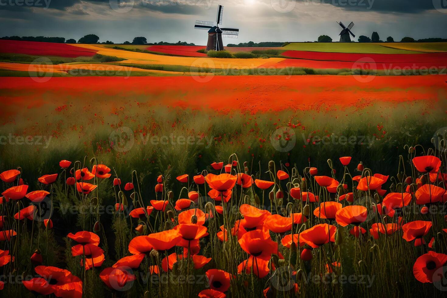A windmill and red poppies in a field photo