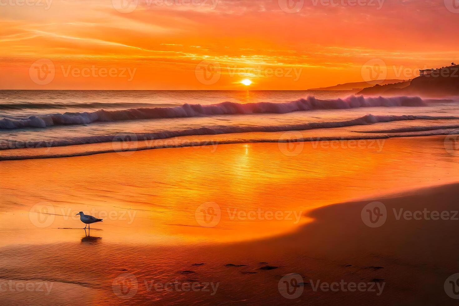 A seagull stands on the beach at sunset photo