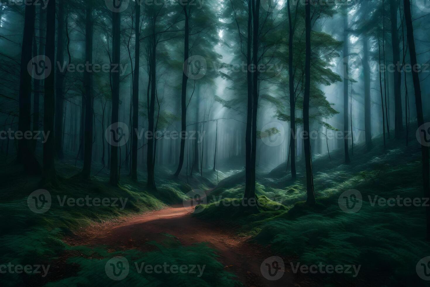 A path through a forest with trees and fog photo