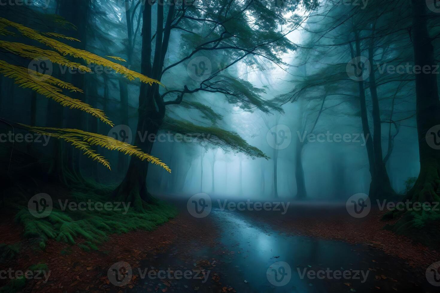 A path through a foggy forest with trees and ferns photo