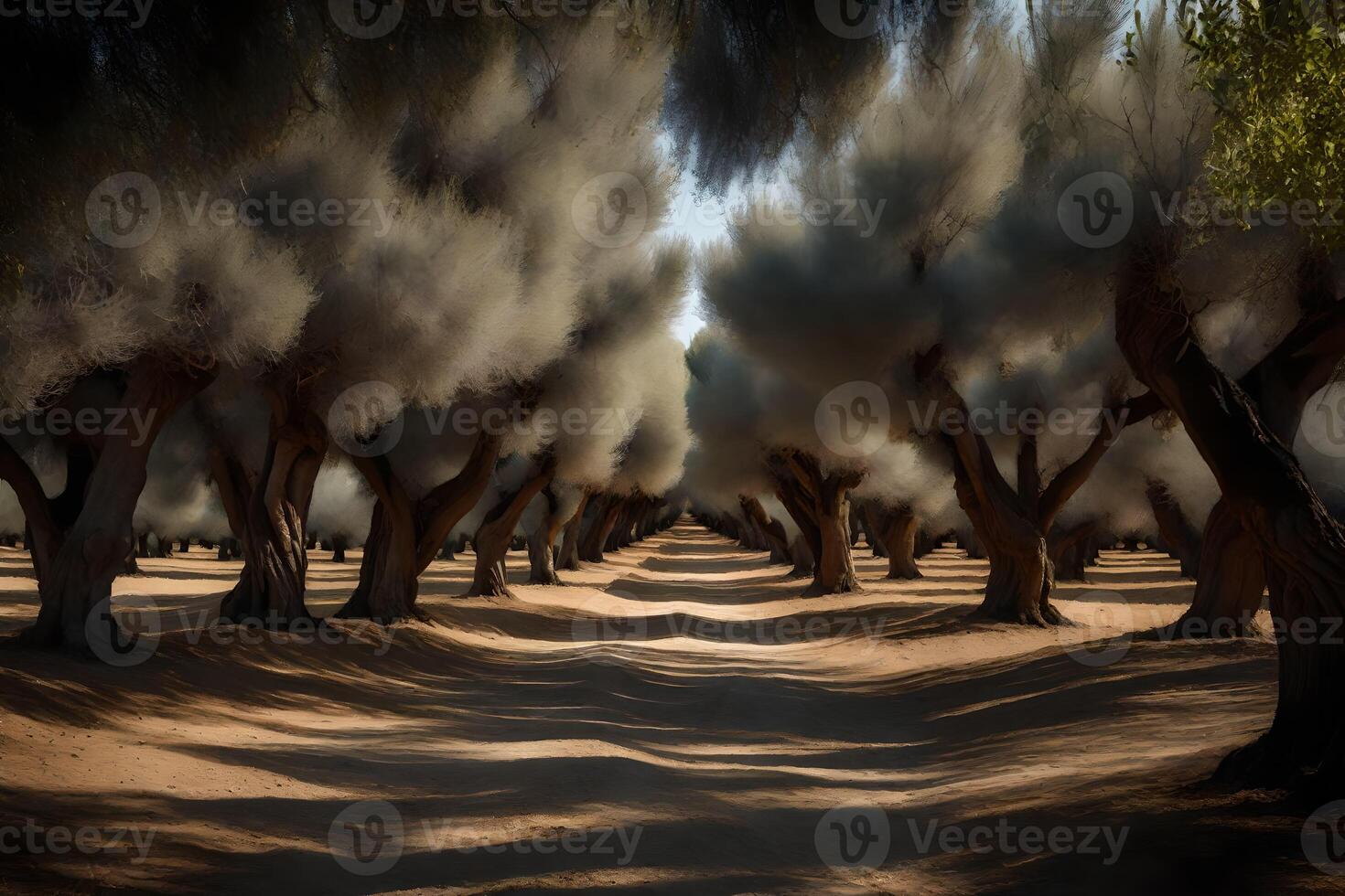 A long row of trees in the middle of a field photo