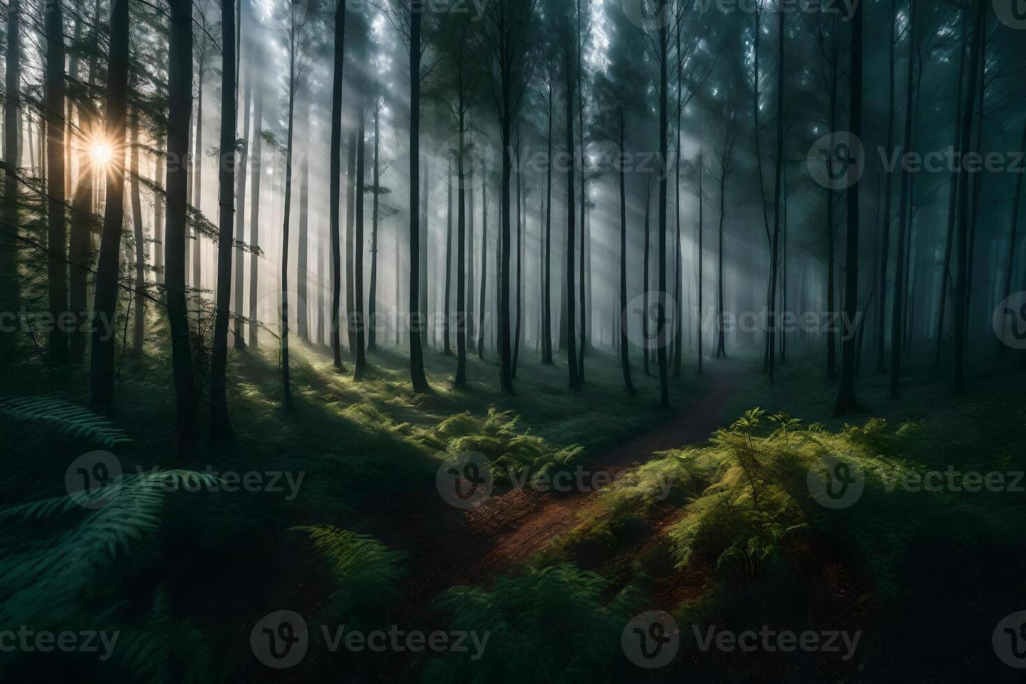 A path through the woods with the sun shining through the trees photo