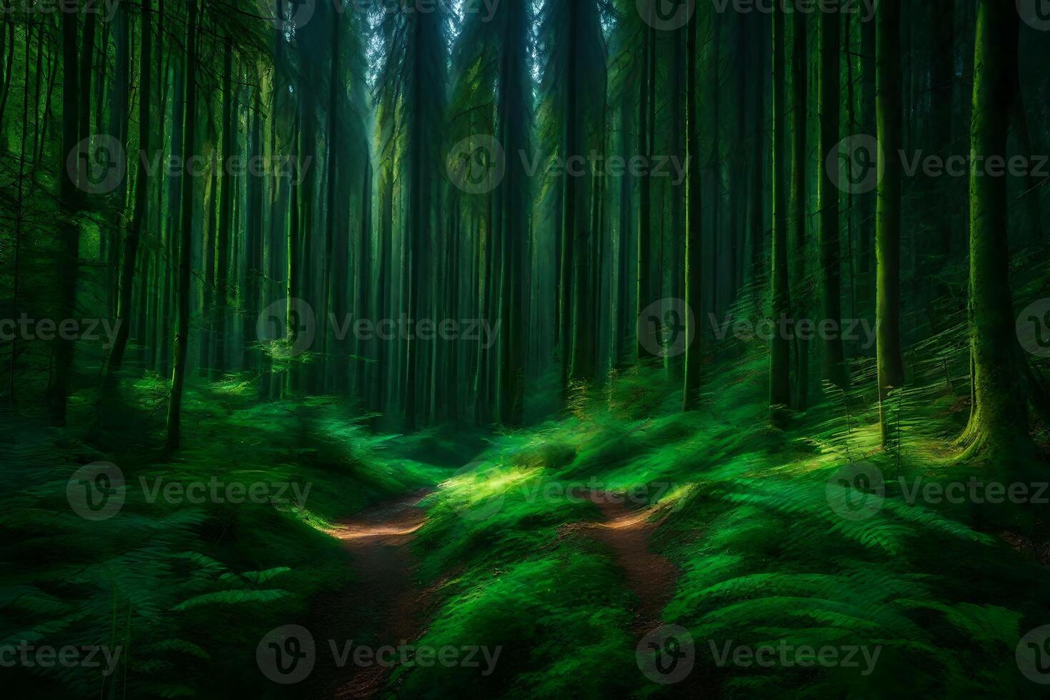 A path through a forest with green trees photo
