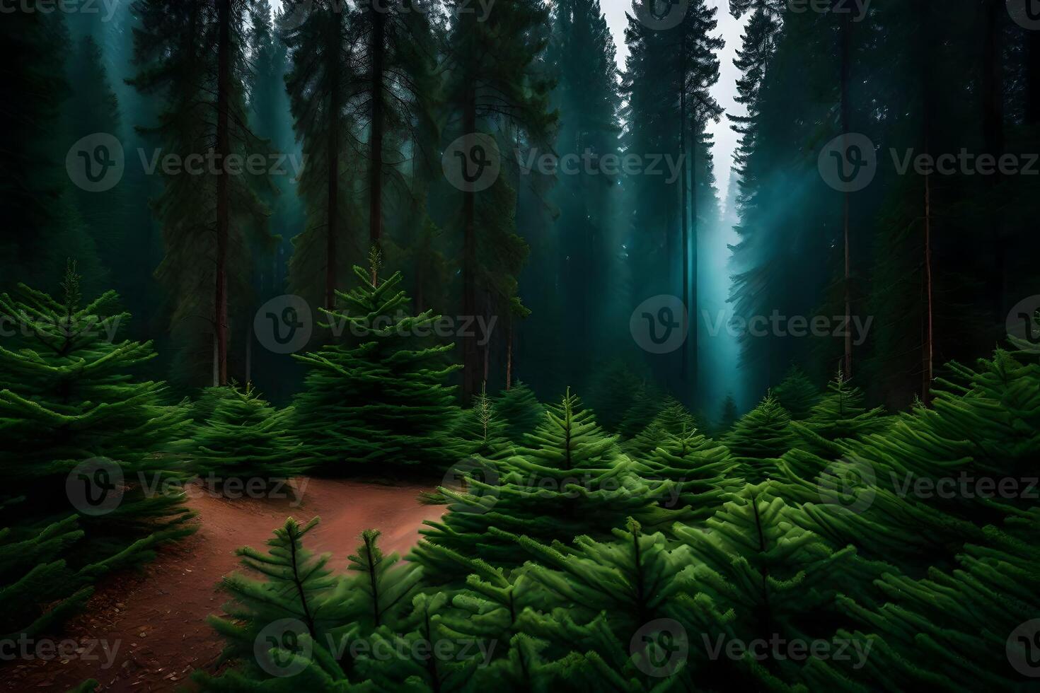 A forest with trees and green grass photo