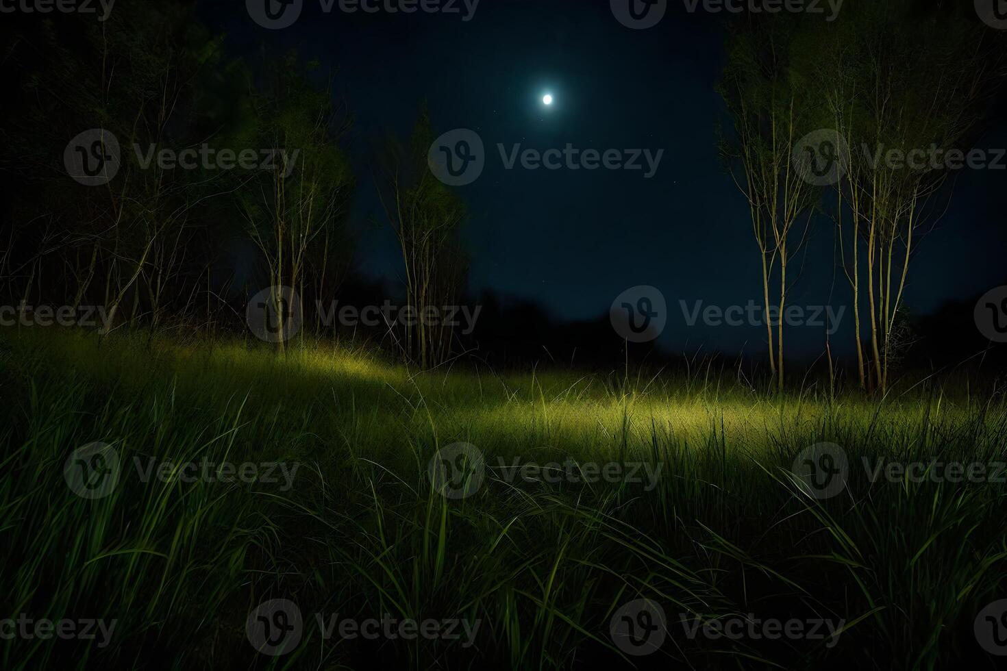 A field with tall grass and trees at night photo
