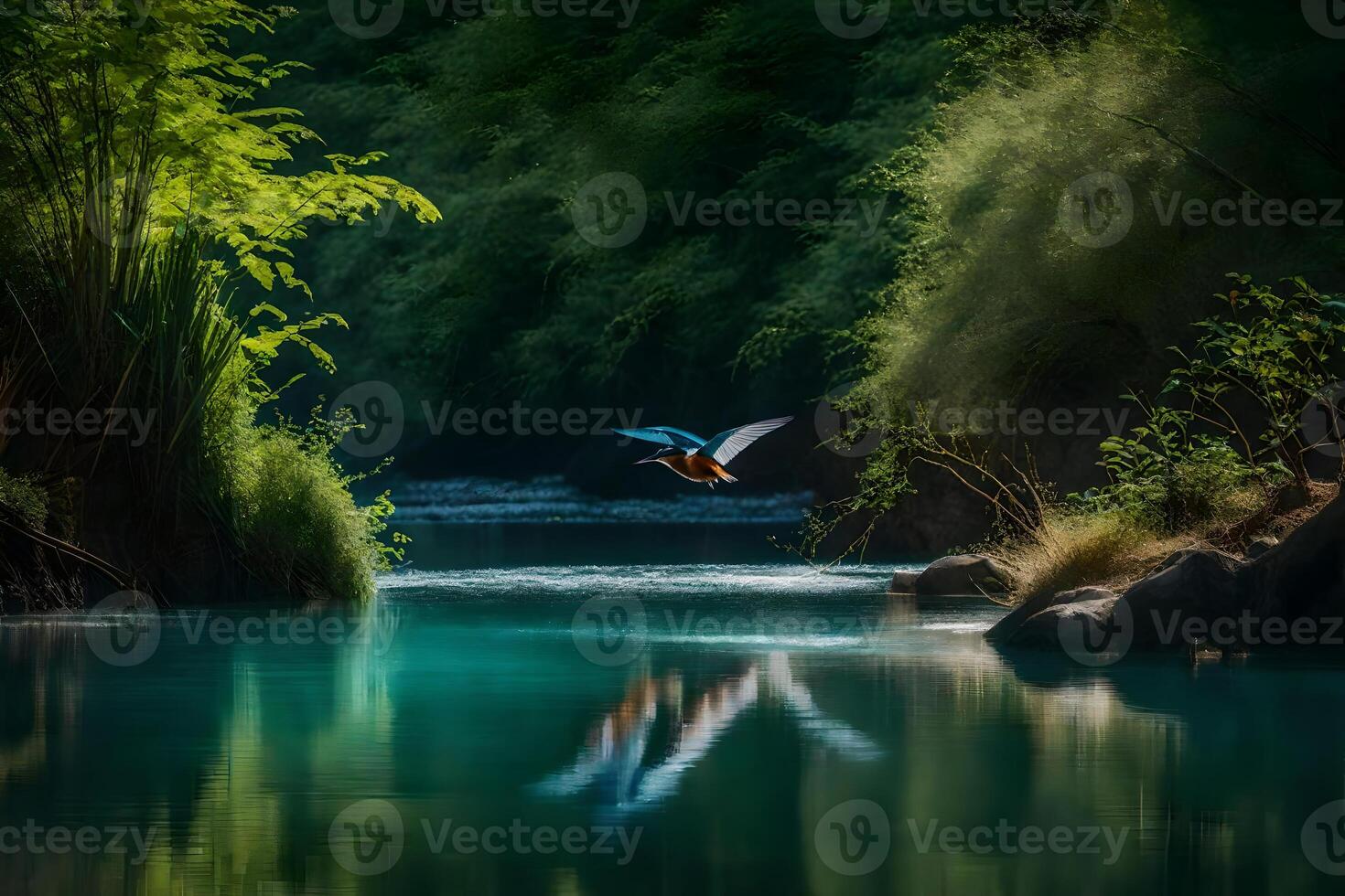 A bird flying over a river in the forest photo