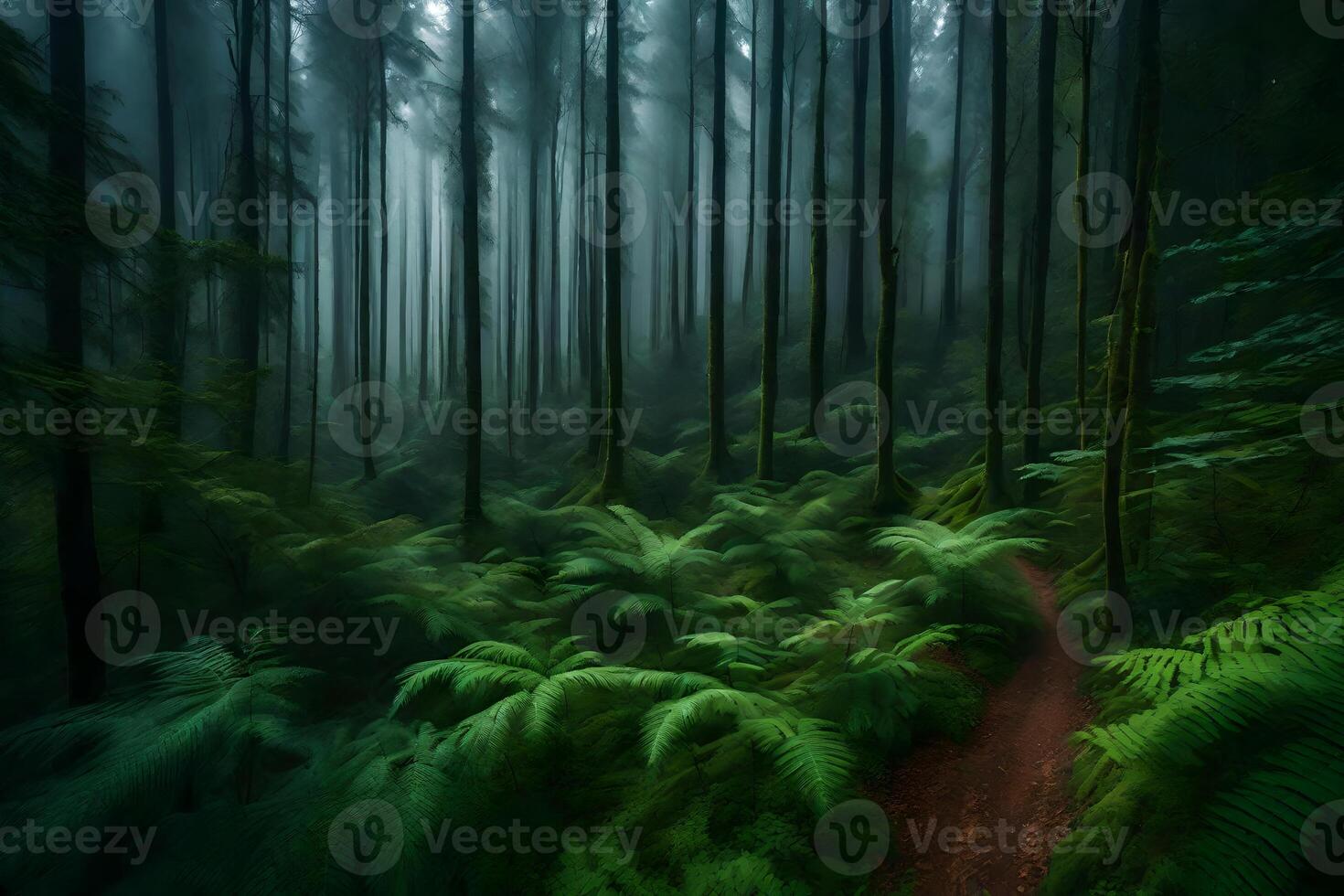 A path through the woods with ferns and trees photo
