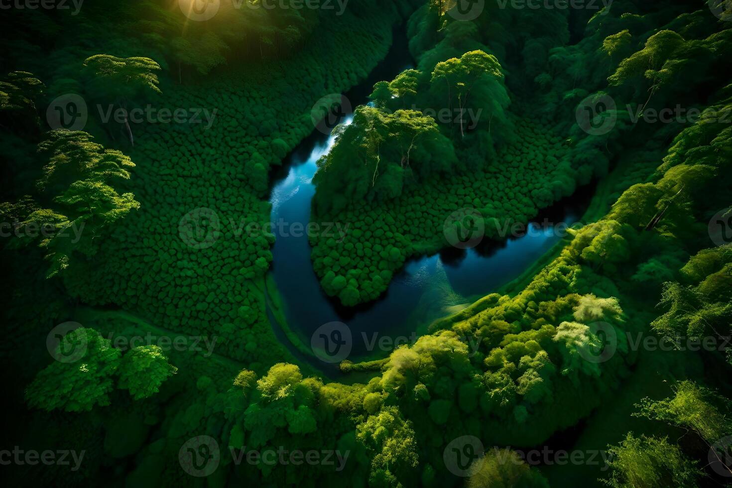 An aerial view of a river in a green forest photo