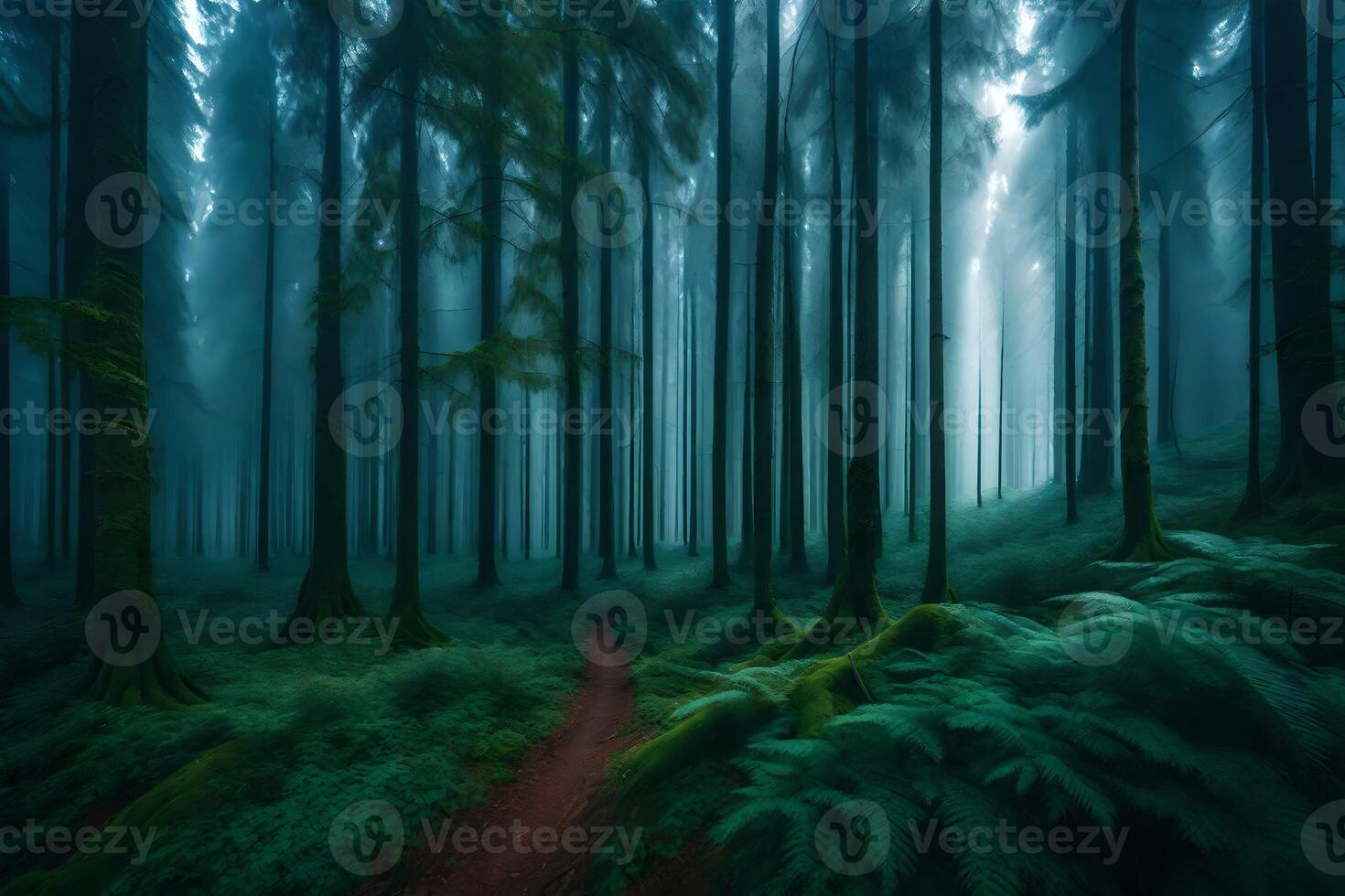 A path through the woods with trees and ferns photo