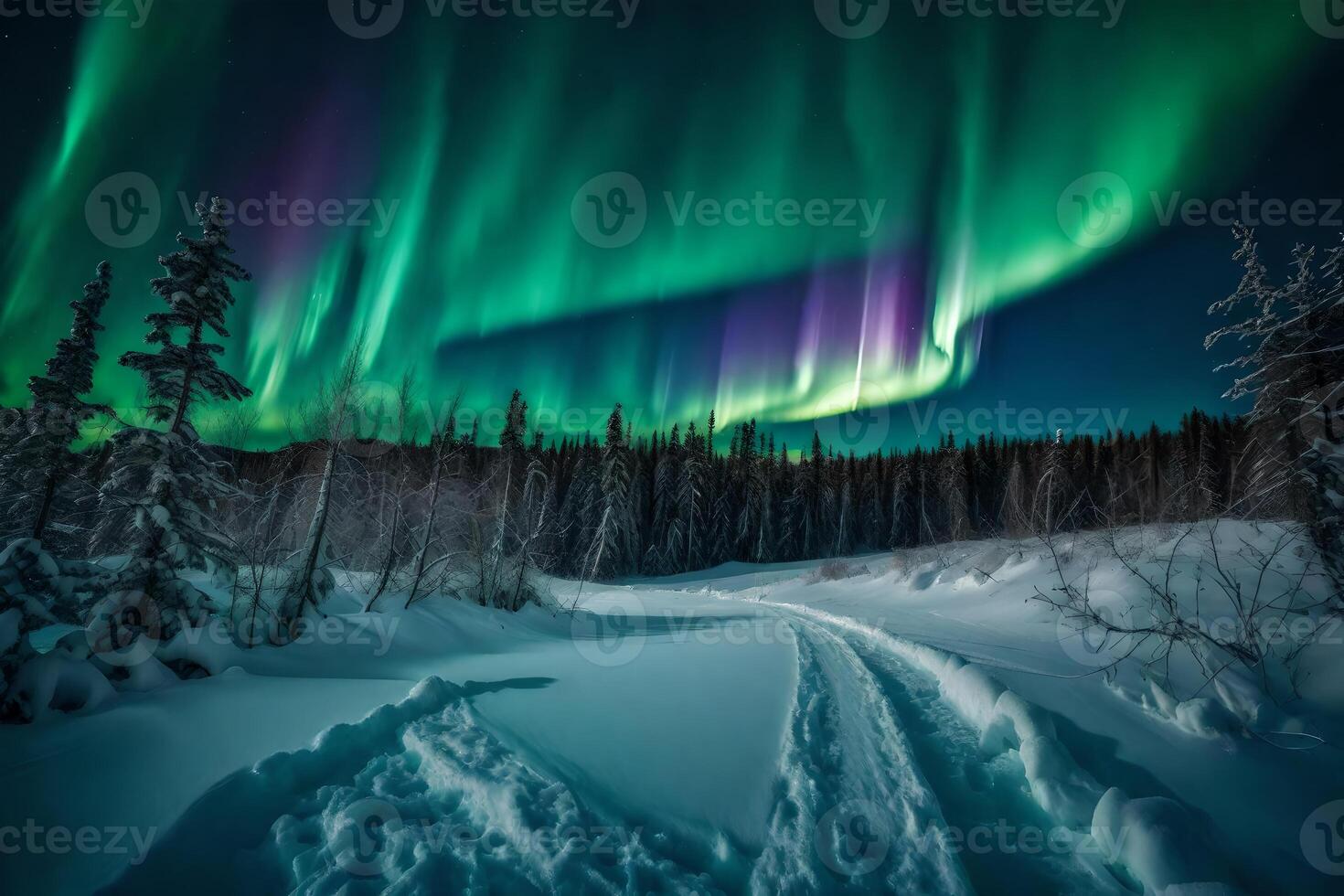 Aurora borealis, alaska, winter, aurora borealis, aurora borealis photo
