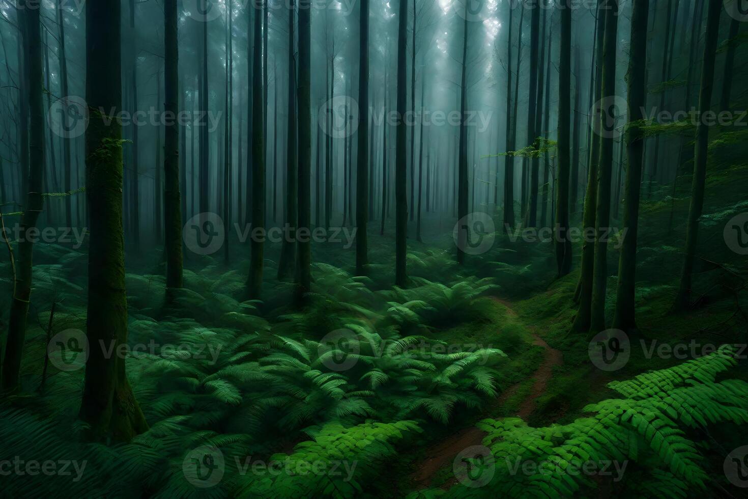 A forest with ferns and trees in the middle of the night photo