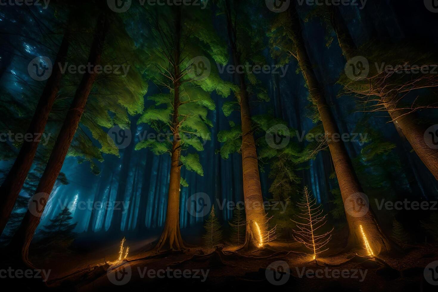 A forest at night with lights in the trees photo