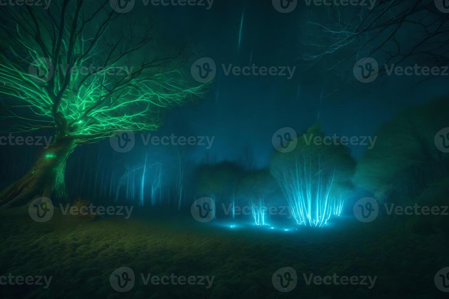 A forest with green trees and lights photo