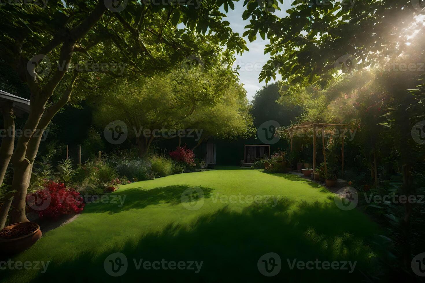 A garden with a lawn, trees and a sun shining photo