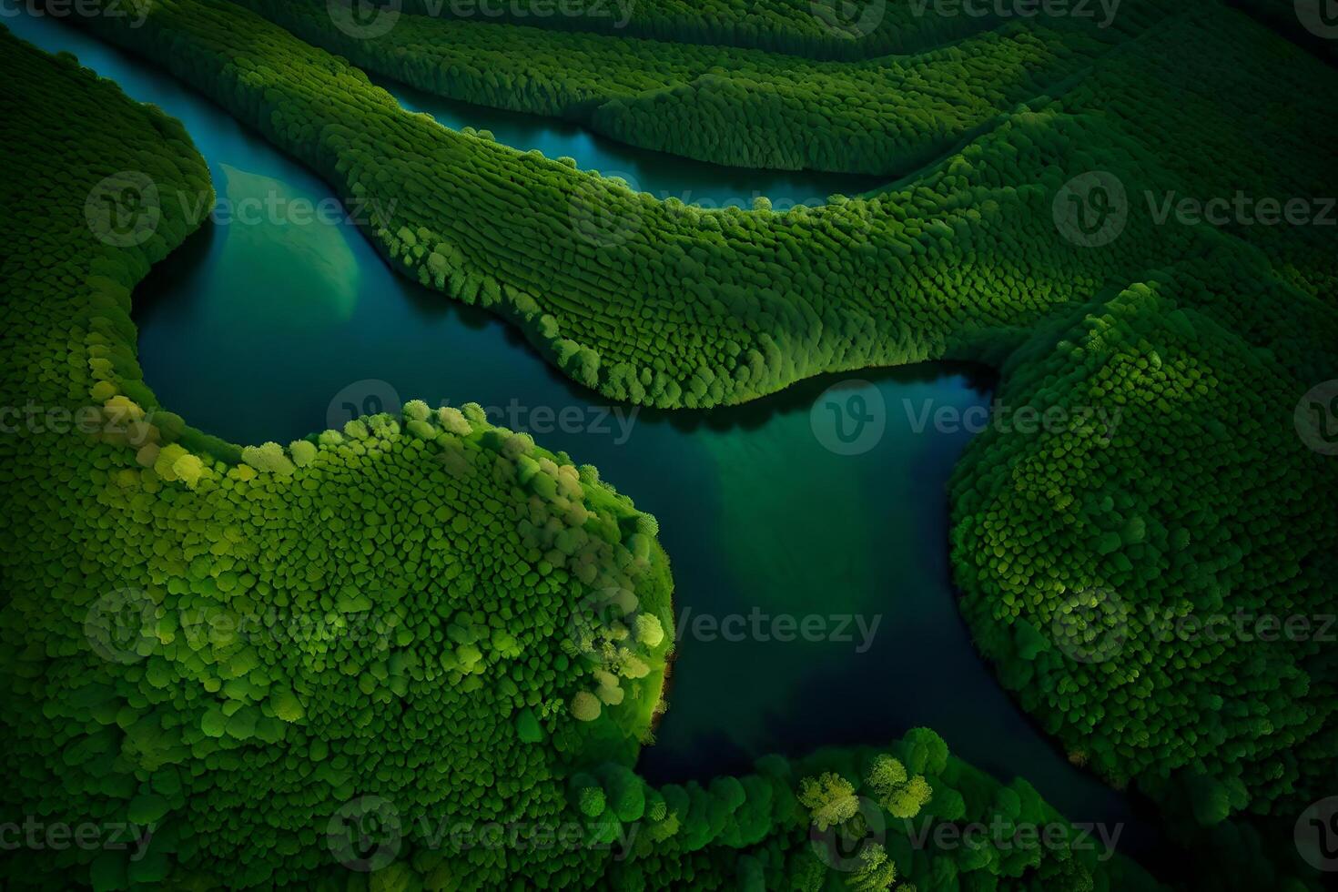 Aerial view of a river in the forest photo