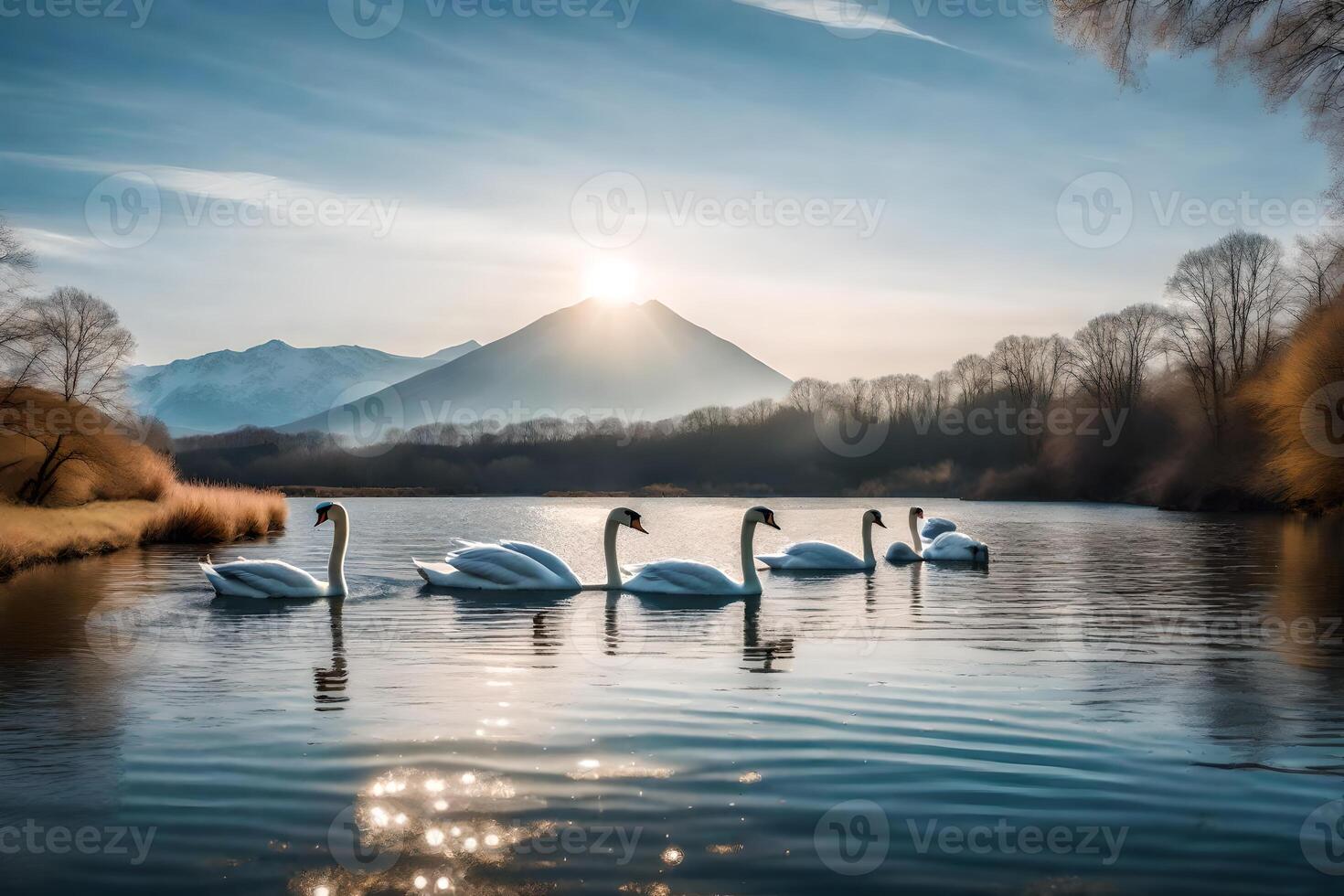 Swans on a lake in front of mountains photo