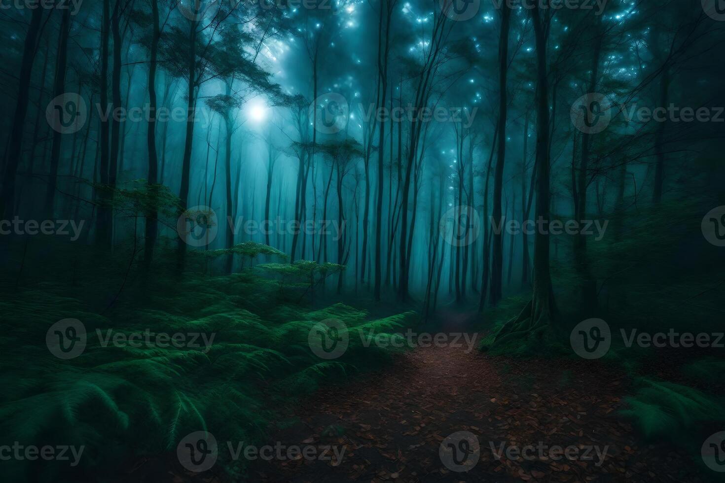 A dark forest with trees and ferns photo